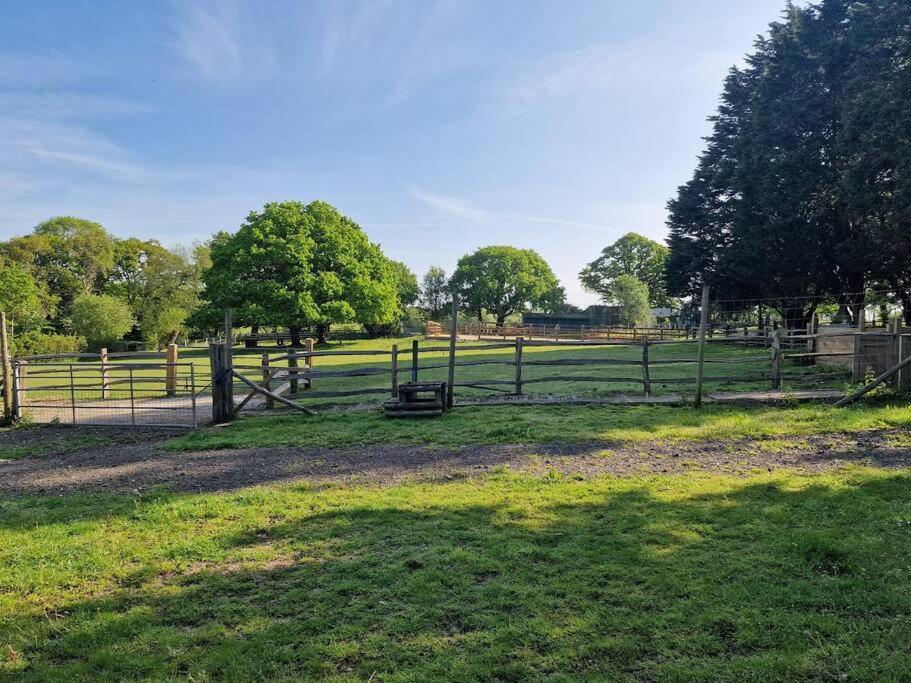 Country Retreat Near Sea And South Downs, On National Cycle Network Polegate Exterior foto