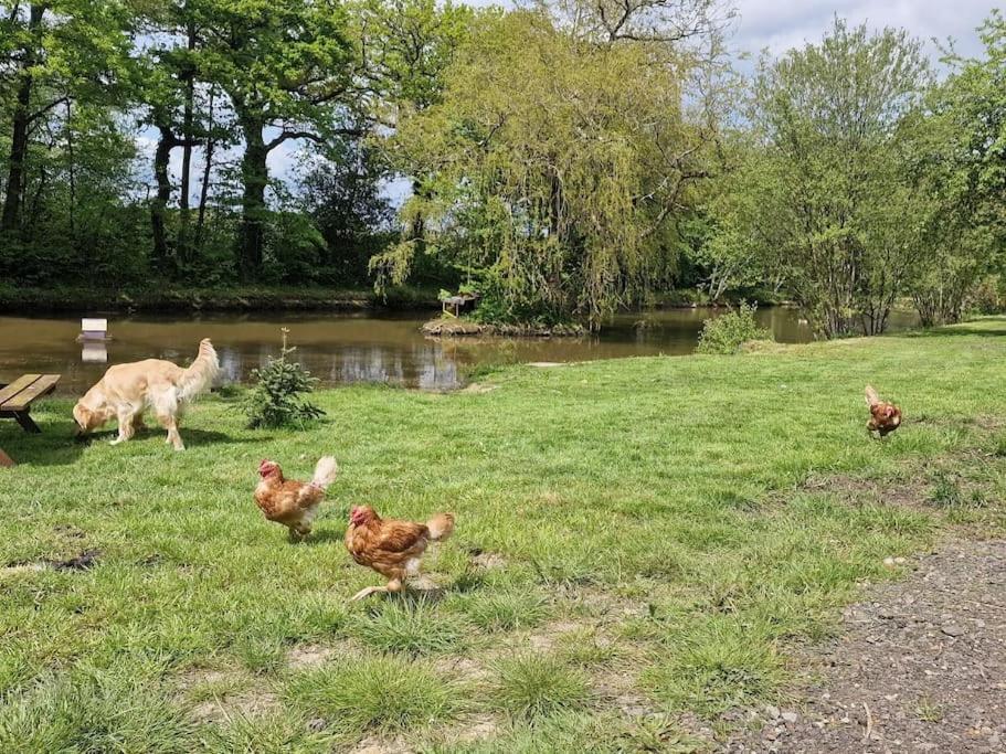 Country Retreat Near Sea And South Downs, On National Cycle Network Polegate Exterior foto