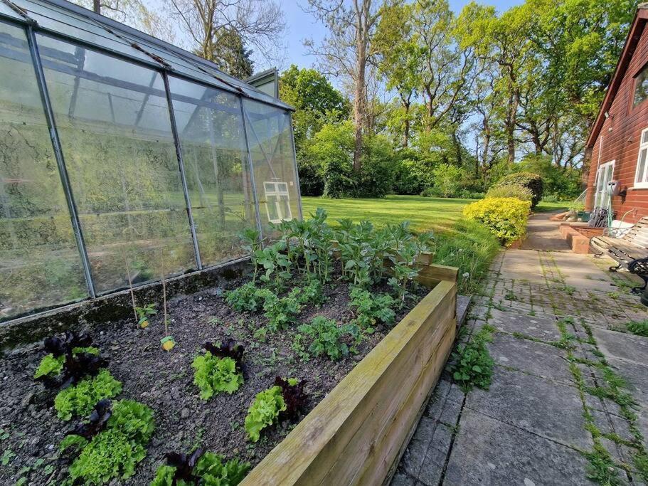 Country Retreat Near Sea And South Downs, On National Cycle Network Polegate Exterior foto