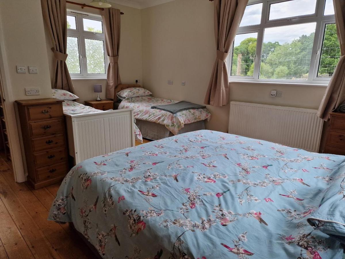 Country Retreat Near Sea And South Downs, On National Cycle Network Polegate Exterior foto
